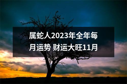 属蛇人2025年全年每月运势财运大旺11月