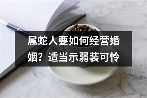 属蛇人要如何经营婚姻？适当示弱装可怜