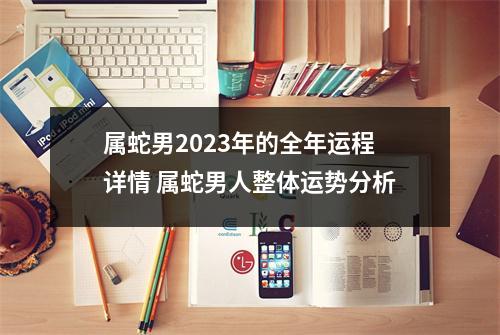 <h3>属蛇男2025年的全年运程详情属蛇男人整体运势分析