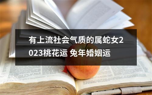 有上流社会气质的属蛇女2025桃花运兔年婚姻运