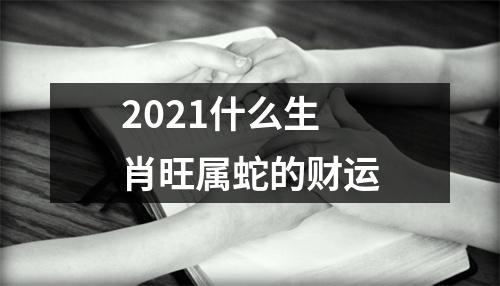 2025什么生肖旺属蛇的财运