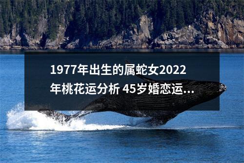 1977年出生的属蛇女2025年桃花运分析45岁婚恋运势