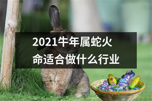 2025牛年属蛇火命适合做什么行业