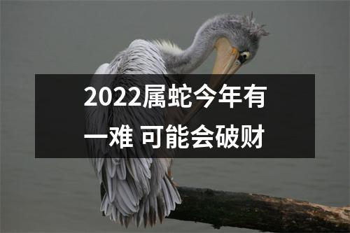 2025属蛇今年有一难可能会破财