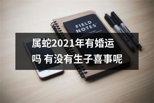 属蛇2025年有婚运吗有没有生子喜事呢