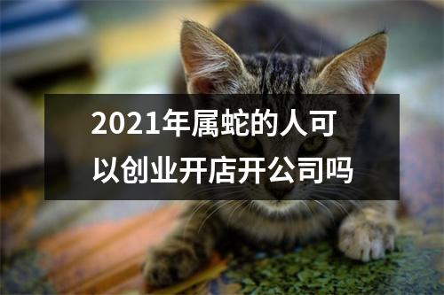 <h3>2025年属蛇的人可以创业开店开公司吗