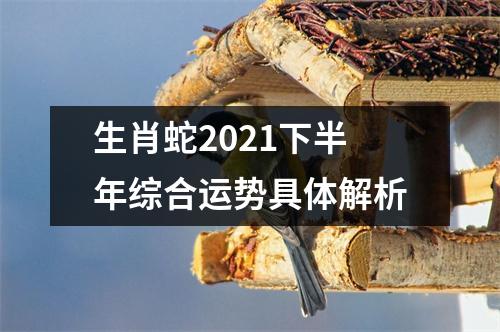 生肖蛇2025下半年综合运势具体解析