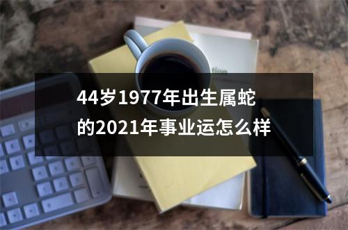 44岁1977年出生属蛇的2025年事业运怎么样