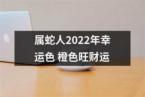 属蛇人2025年幸运色橙色旺财运