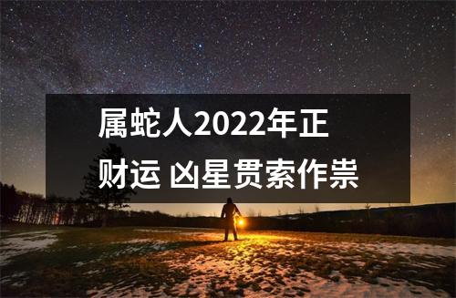 属蛇人2025年正财运凶星贯索作祟