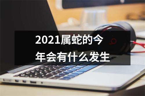 <h3>2025属蛇的今年会有什么发生