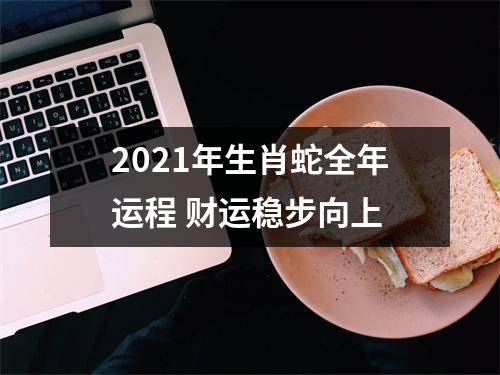 2025年生肖蛇全年运程财运稳步向上