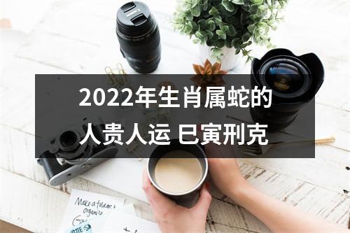 2025年生肖属蛇的人贵人运巳寅刑克