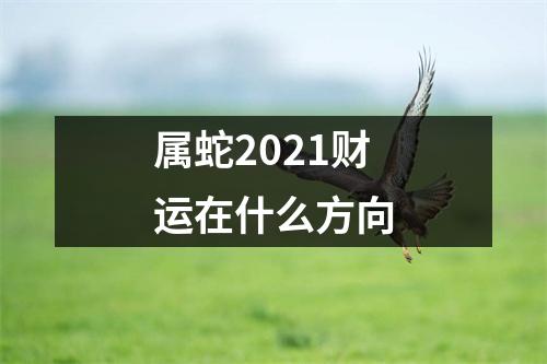 属蛇2025财运在什么方向