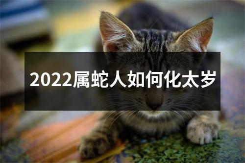 2025属蛇人如何化太岁