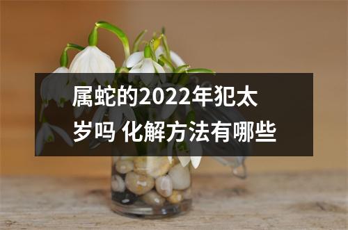 属蛇的2025年犯太岁吗化解方法有哪些