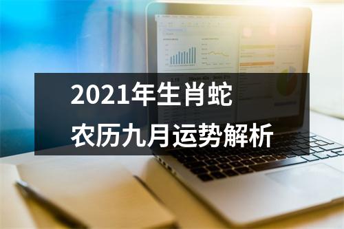 2025年生肖蛇农历九月运势解析