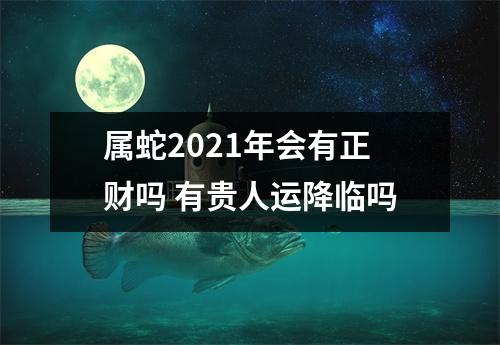 属蛇2025年会有正财吗有贵人运降临吗