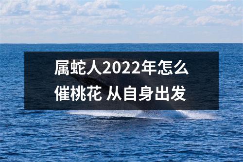 属蛇人2025年怎么催桃花从自身出发