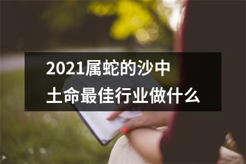 <h3>2025属蛇的沙中土命佳行业做什么