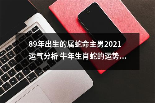 <h3>89年出生的属蛇命主男2025运气分析牛年生肖蛇的运势如何