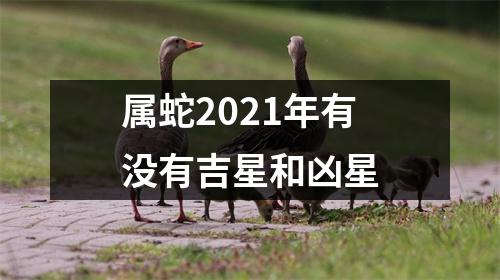 属蛇2025年有没有吉星和凶星