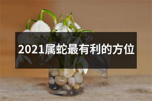 2025属蛇有利的方位
