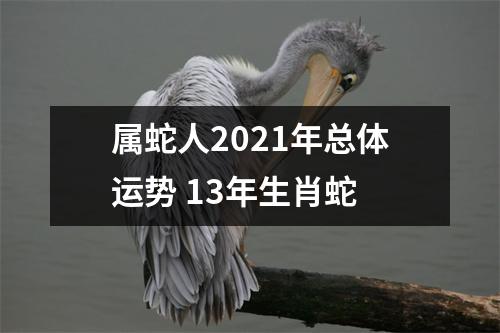 属蛇人2025年总体运势13年生肖蛇