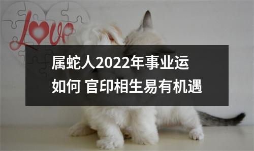 属蛇人2025年事业运如何官印相生易有机遇