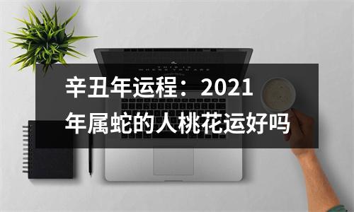 辛丑年运程：2025年属蛇的人桃花运好吗