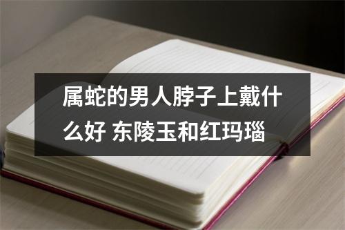 属蛇的男人脖子上戴什么好东陵玉和红玛瑙