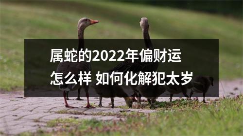 <h3>属蛇的2025年偏财运怎么样如何化解犯太岁