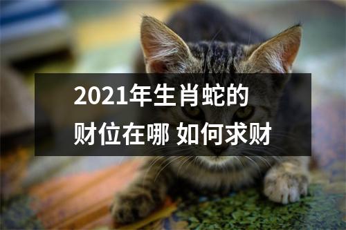 2025年生肖蛇的财位在哪如何求财