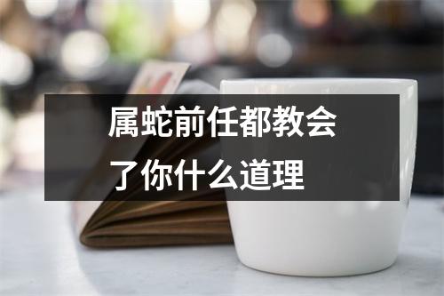 属蛇前任都教会了你什么道理
