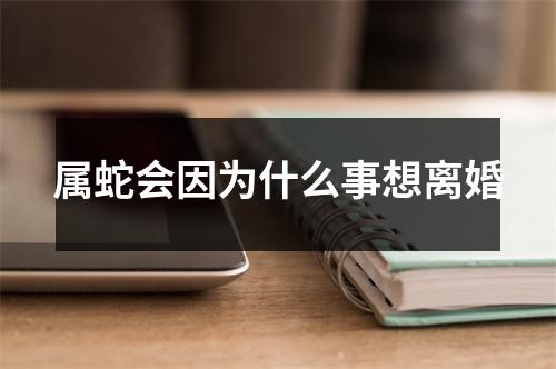 属蛇会因为什么事想离婚