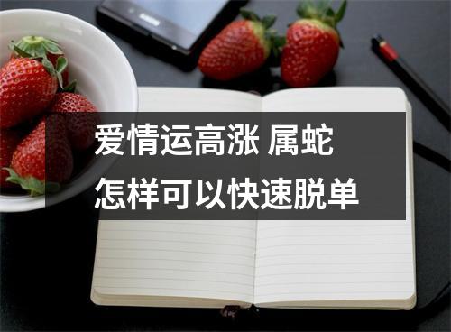 爱情运高涨属蛇怎样可以快速脱单
