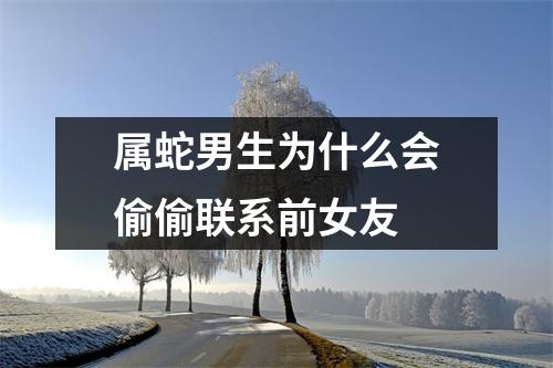 <h3>属蛇男生为什么会偷偷联系前女友