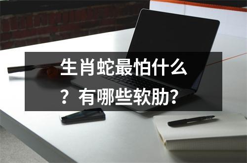 生肖蛇怕什么？有哪些软肋？