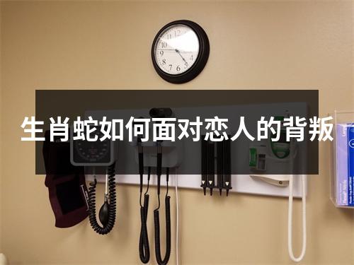 生肖蛇如何面对恋人的背叛