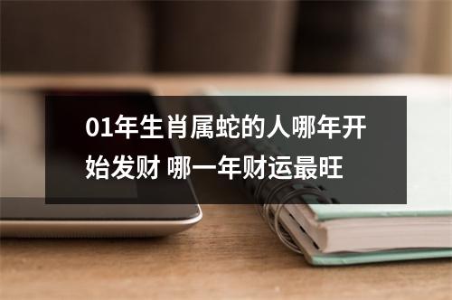 01年生肖属蛇的人哪年开始发财哪一年财运旺
