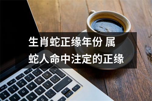 <h3>生肖蛇正缘年份属蛇人命中注定的正缘