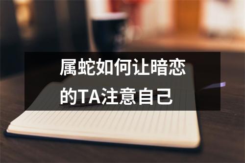 属蛇如何让暗恋的TA注意自己