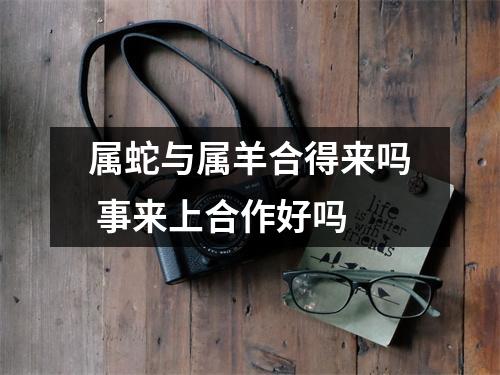 属蛇与属羊合得来吗事来上合作好吗