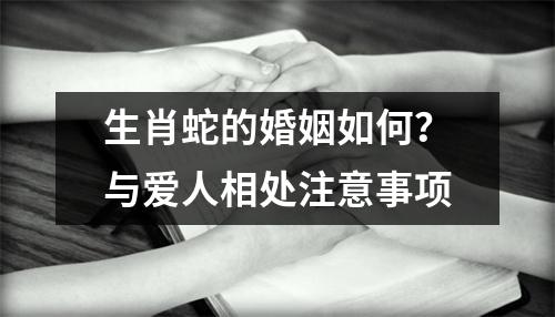 生肖蛇的婚姻如何？与爱人相处注意事项