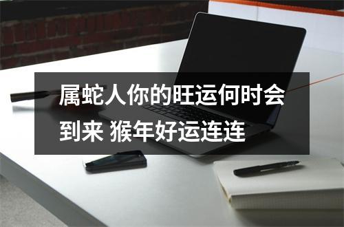 属蛇人你的旺运何时会到来猴年好运连连