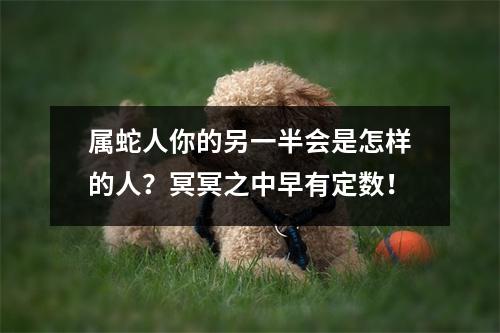 <h3>属蛇人你的另一半会是怎样的人？冥冥之中早有定数！