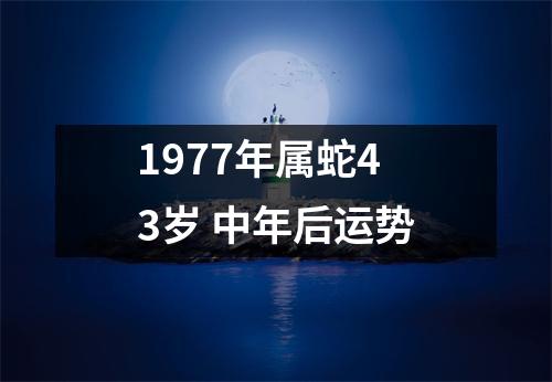 1977年属蛇43岁中年后运势