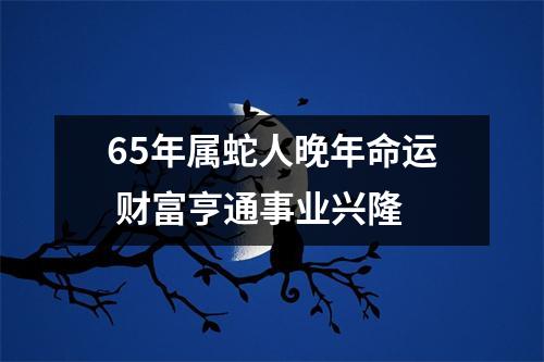 <h3>65年属蛇人晚年命运财富亨通事业兴隆