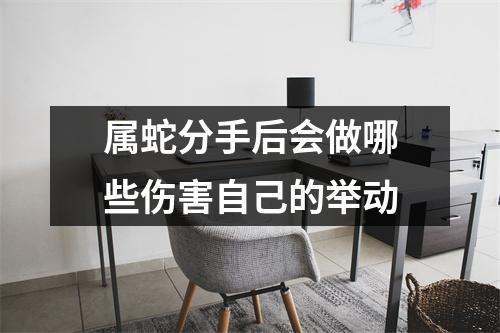 属蛇分手后会做哪些伤害自己的举动