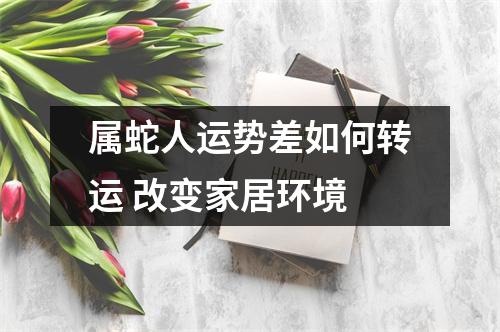 属蛇人运势差如何转运改变家居环境